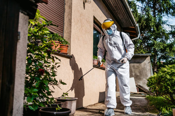 Best Ant Control Services  in Marshall, MI