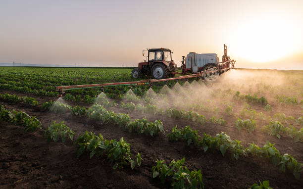 Best Pest Prevention Services  in Marshall, MI