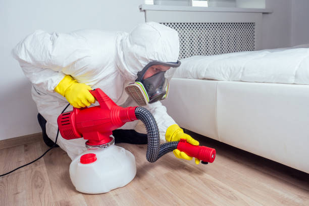 Best Affordable Pest Control Services  in Marshall, MI