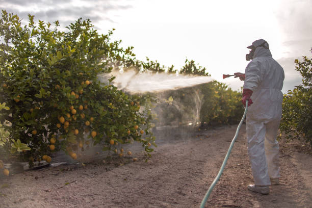 Best Emergency Pest Control  in Marshall, MI