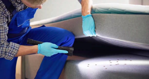 Best Mosquito Control Services  in Marshall, MI