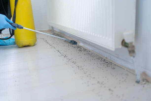 Best Emergency Pest Control  in Marshall, MI