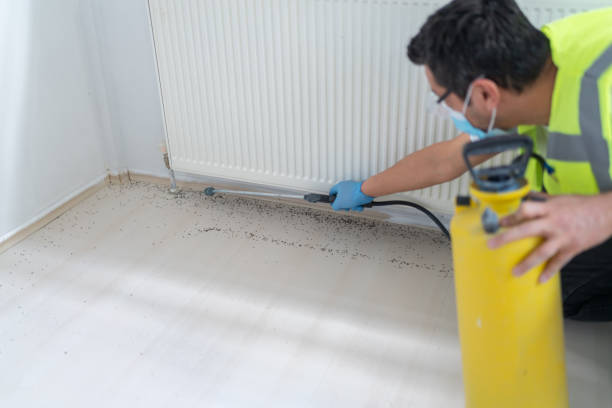 Best Wasp Removal Services  in Marshall, MI
