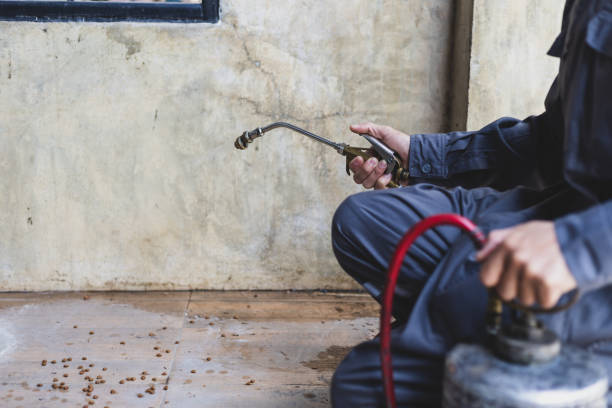 Best Local Pest Control Services  in Marshall, MI