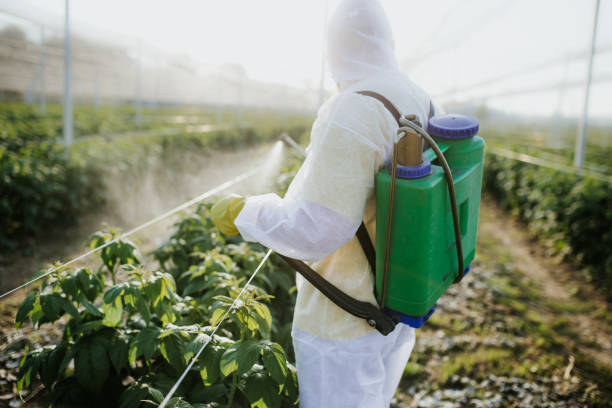 Best Affordable Pest Control Services  in Marshall, MI